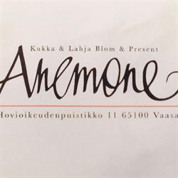 Kukka & Lahja Anemone