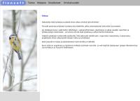 Nettisivu: Finnsoft Oy