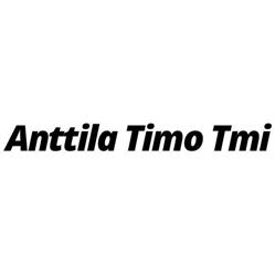 T:mi Timo Anttila