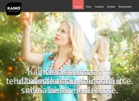 Hiussalonki Niina