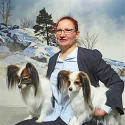 Kennel Lagoon