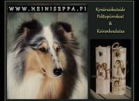 Weird Art - Kynäruiskumaalausta Heini Seppä