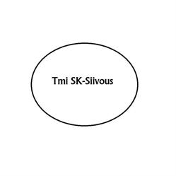 SK-Siivous