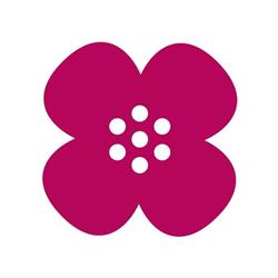 SATAKUNNAN NÄKÖVAMMAISET RY