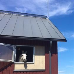 Tuomarinkylän Talli Oy