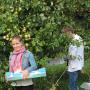 Kävijän 30.9.2015 lataus