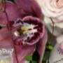 # 4