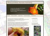 Pihasuunnittelu Hannele Holmberg Tmi