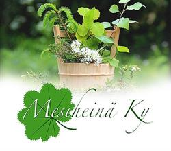Mesiheinä Ky