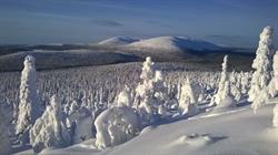 Pallas-Laakson Lomamökit Ritva Laakso