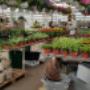 # 2