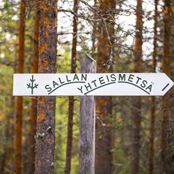 Sallan yhteismetsä