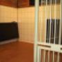 # 3