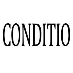 Insinööritoimisto Conditio Oy