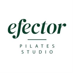 Efector Oy