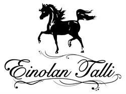 Einolan Talli