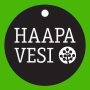 Haapaveden kaupunki
