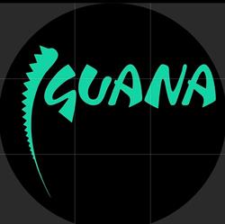 Iguana Mannerheimintie