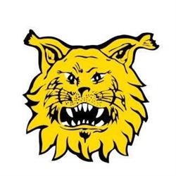 Ilves Ry