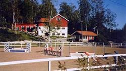 Peikin Ratsastuskoulu Oy