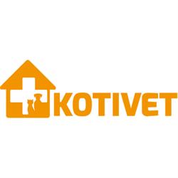 Kotivet