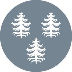 Kuhmon kaupunki