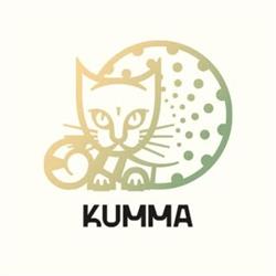 KUMMA - Kuopion taidemuseo