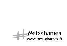 Metsähämes