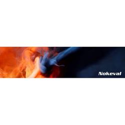 Nokeval Oy