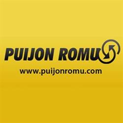 Puijon Romu Oy