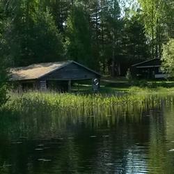 Koivuniemi
