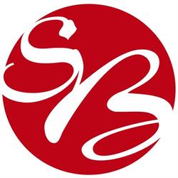Sirpan Bussimatkat