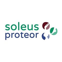 SoleusProteor, Hakaniemi
