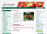 Suonenjoen kaupunki Kaatron koulu