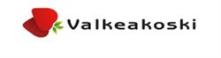 Valkeakosken kaupunki