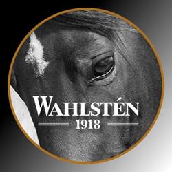 Veljekset Wahlstén Oy