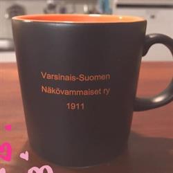 Varsinais-suomen Näkövammaiset Ry