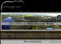 Wild Brown Bear