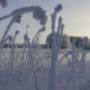 # 4
