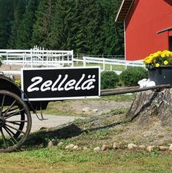 Valmennustalli Zellelä