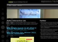Palko Interactive Oy