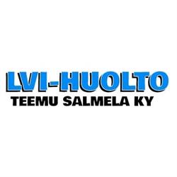 Teemu Salmela Lvi-Huolto Oy