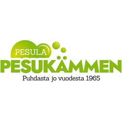 Pesukämmen Avoin yhtiö