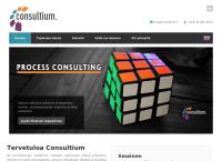 Consultium Oy