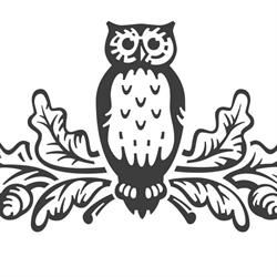 Suomalainen Tiedeakatemia ry