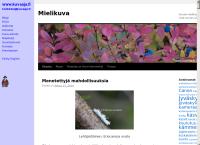 Kuvaaja Markku Könkkölä
