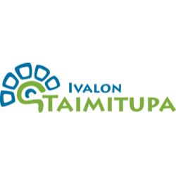 Ivalon Taimitupa Ky