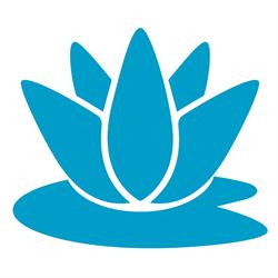 Laguna Oy