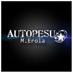 Autopesu M. Erola