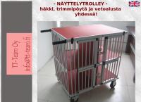 Nettisivu: TT-Team Oy